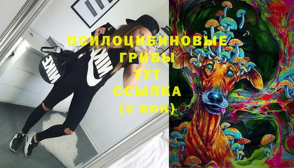 дживик Абинск