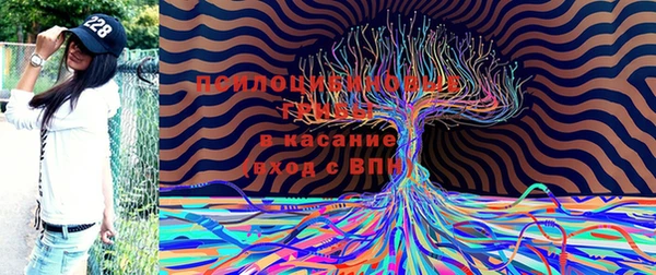 дживик Абинск