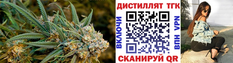 ТГК THC oil  наркошоп  Шарья 